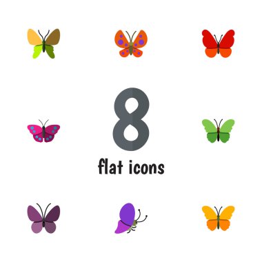 Düz güve Archippus, Menekşe kanat, yaz böcek ve diğer vektör nesneleri kümesi. Ayrıca yaz, kelebek, Monarch öğeleri içerir.