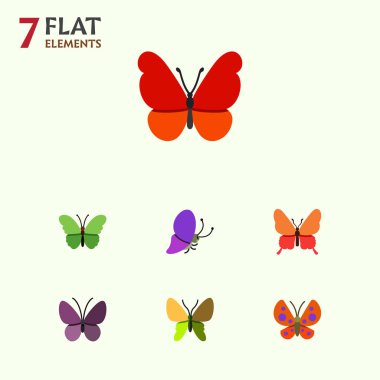 Düz güve süt kardeş, güve, hükümdar ve diğer vektör nesneleri kümesi. Ayrıca içerir Monarch, böcek, yaz öğeleri.