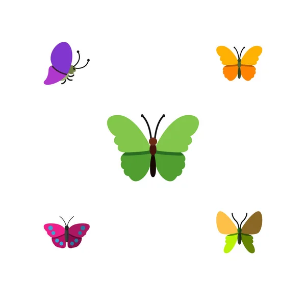 Flache Mottengruppe von Schmetterlingen, Sommerinsekten, Archippus und anderen Vektorobjekten. auch Motten, Monarchen, Schmetterlingselemente. — Stockvektor