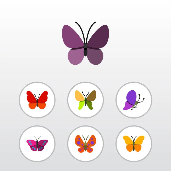 Flache Schmetterlingsgruppe von Archipeln, violetten Flügeln, Sommerinsekten und anderen Vektorobjekten. auch Motte, Milchkraut, Monarchie-Elemente. — Stockvektor