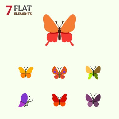 Düz kelebek güzellik sinek, yaz böcek, Danaus Plexippus ve diğer vektör nesneleri kümesi. Ayrıca kelebek, Monarch, süt kardeş öğeleri içerir.