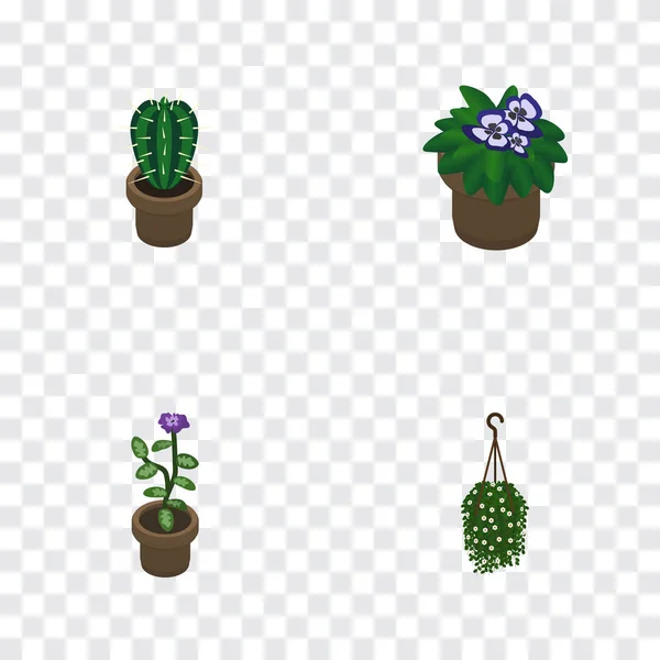 Isometric Houseplant Set Of Flower, Flowerpot, Peyote And Other Vector Objects (dalam bahasa Inggris). Juga termasuk Pot, Blossom, Unsur Tanaman . - Stok Vektor