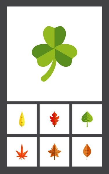 Flat Icon Maple Set Of Alder, Foliage, Maple And Other Vector Objects. Also Includes Maple, Aspen, Foliage Elements. — Stock Vector