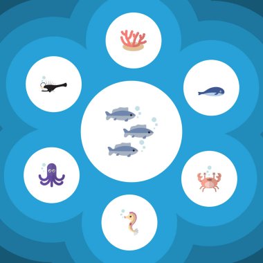 Balina, balık, yosun ve diğer vektör nesnelerini düz simgesi deniz kümesi. Ayrıca mercan, fener, ahtapot öğeleri içerir.