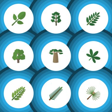 Rosemary, orman, yapraklar ve diğer vektör nesnelerini düz simge doğa seti. Ayrıca akasya, yaprak, Baobab öğeleri içerir.