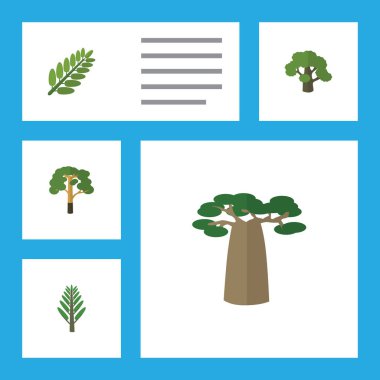 Düz simgesi doğa kümesi Baobab, ahşap, yapraklar ve diğer vektör nesneleri. Ayrıca akasya, Willow, yaprak öğeleri içerir.
