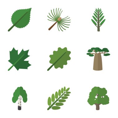 Düz simgesi doğa orman, meşe, ıhlamur ve diğer vektör nesneleri ayarlayın. Akasya, akçaağaç, ağaç öğeleri de içerir.