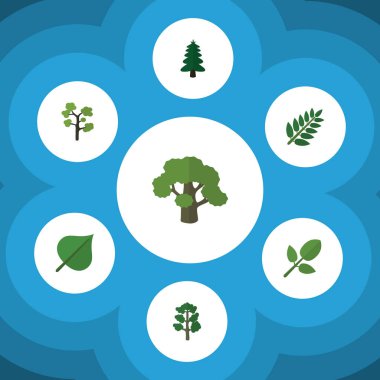 Düz simgesi doğa akasya yaprağı, ağaç, bitki örtüsü ve diğer vektör nesnelerini ayarlayın. Ayrıca yaprak dökmeyen, meşe, ahşap unsurları içerir.