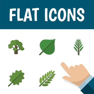 Düz simgesi doğa kümesi ağaç, yaprak, kızılağaç ve diğer vektör nesneleri. Ayrıca ağaç, Hickory, orman unsurları içerir.