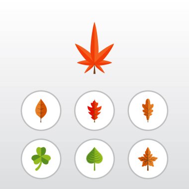 Düz simgesi yeşillik titrek kavak, kızılağaç, yaprak ve diğer vektör nesnelerini ayarlayın. Ayrıca bitki örtüsü, Hickory, yaprak öğeleri içerir.