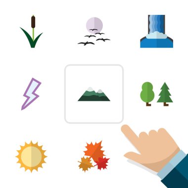 Kuyrugu, yıldırım, martı ve diğer vektör nesnelerini düz simgesi doğal kümesi. Ayrıca yaprak, ağaç, Pinnacle unsurları içerir.