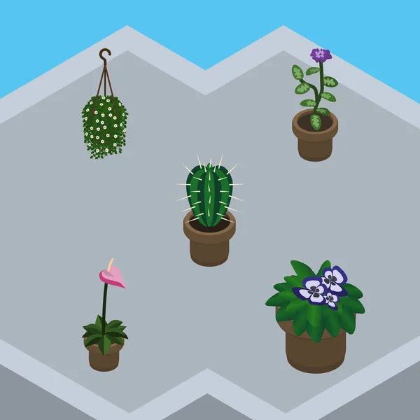 Conjunto de plantas isométricas de maceta, flor, cultivador y otros objetos vectoriales. También incluye Colgante, Flor, Cactus Elementos . — Vector de stock