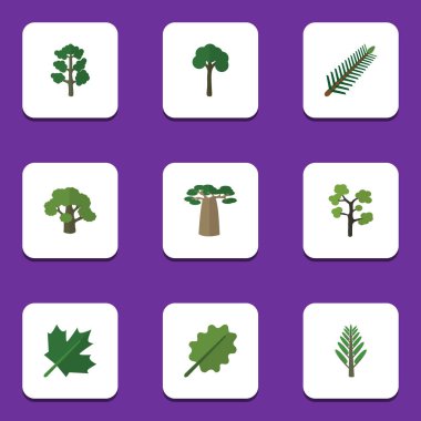Evergreen, ağaç, orman ve diğer vektör nesnelerini düz simge doğa seti. Kızılağaç, orman, Willow öğeleri de içerir.