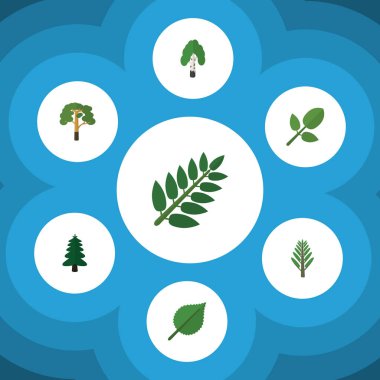 Akasya yaprağı, Linden, kereste ve diğer vektör nesnelerini düz simgesi doğal kümesi. Ayrıca içerir ağaç, akasya, çeki düzen vermek öğeler.