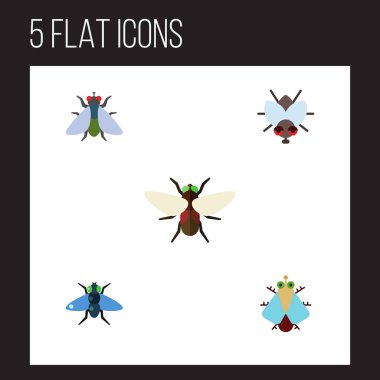 Gübre, Buzz, Bluebottle ve diğer vektör nesnelerini düz simgesi sinek kümesi. Ayrıca Bluebottle, sinek, böcek öğeleri içerir.