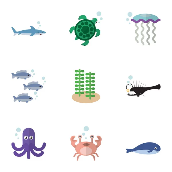 Icono plano Mar Conjunto de Cachalot, Cáncer, Tortuga y otros objetos vectoriales. También incluye pescador, Espirulina, elementos de mariscos . — Vector de stock