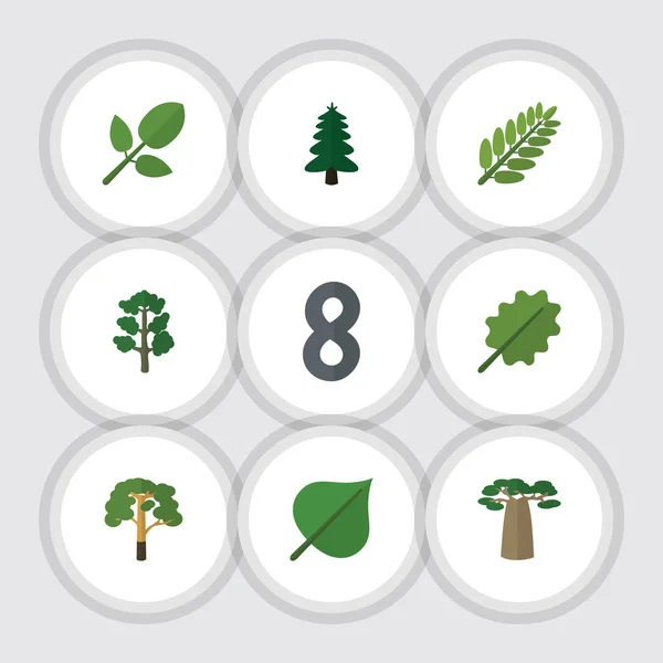 Płaskie ikona Bio zestaw z drewna, liści, lasu i inne obiekty wektorowe. Obejmuje również Park, drewno, elementy Baobab. — Wektor stockowy