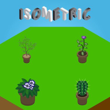İzometrik çiçek saksı, Peyote, çiçek ve diğer vektör nesneleri kümesi. Peyote, kaktüs, Pot öğeleri de içerir.
