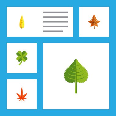 Düz simgesi yaprakları kümesi kızılağaç, akçaağaç, Aspen ve diğer vektör nesneleri. Ayrıca kızılağaç, yaprak, Hickory öğeleri içerir.