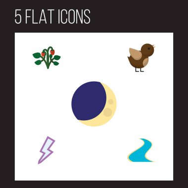 Yarım ay, yıldırım, kolu ve diğer vektör nesnelerini düz simgesi doğal kümesi. Ayrıca serçe, çilek, gece yarısı öğeleri içerir.