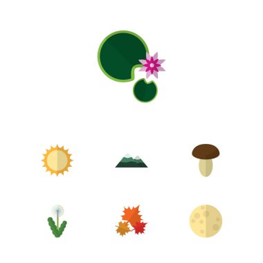 Düz simgesi Bio dizi Kanada, Champignon, ay ve diğer vektör nesneleri. Ayrıca Kanada, güneş, karahindiba öğeleri içerir.