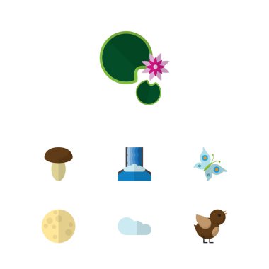Düz simgesi doğa kuş, Champignon, hükümdar ve diğer vektör nesneleri kümesi. Aynı zamanda gökyüzü, kuş, güve öğeleri içerir.
