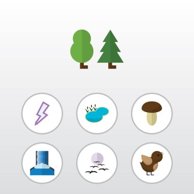 Kuş, yıldırım, martı ve diğer vektör nesnelerini düz simgesi doğal kümesi. Ayrıca serçe, gök gürültüsü, Lake unsurları içerir.