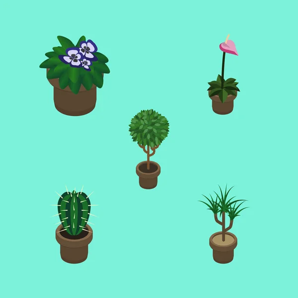 Isometric Flower Set Of Flowerpot, Tree, Peyote And Other Vector Objects. Also Includes Plant, Botany, Cactus Elements. — Stock Vector