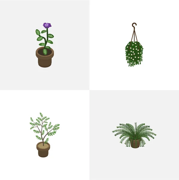 Conjunto isométrico de flores, plantas, flores y otros objetos vectoriales. También incluye Colgante, Flor, Elementos de la Casa . — Archivo Imágenes Vectoriales