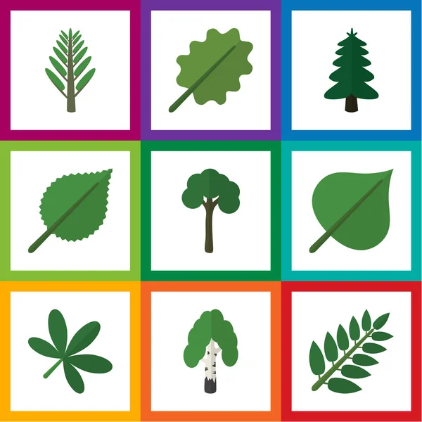 Биокомплект плоской иконы из листьев акации, парка, древесины и других векторных объектов. Включая также акацию, ольху, дубовые слои . — стоковый вектор