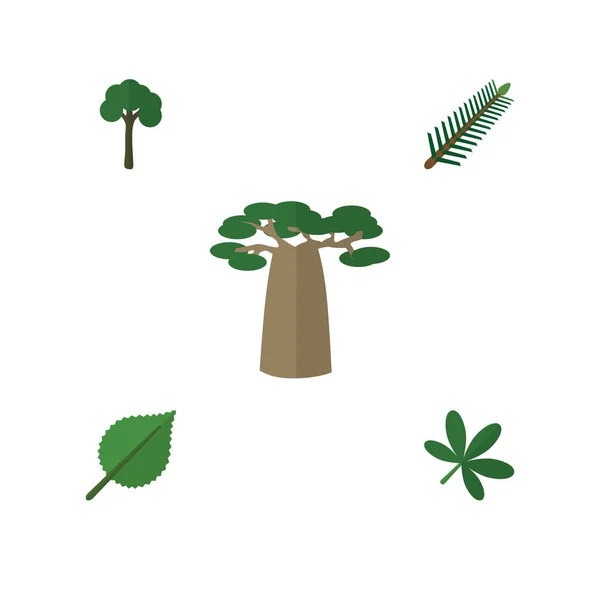 Flat Icon Ecology Set of Baobab, Evergreen, Linden and Other Vector Objects. Включая также баобаб, три, ольховые слои . — стоковый вектор