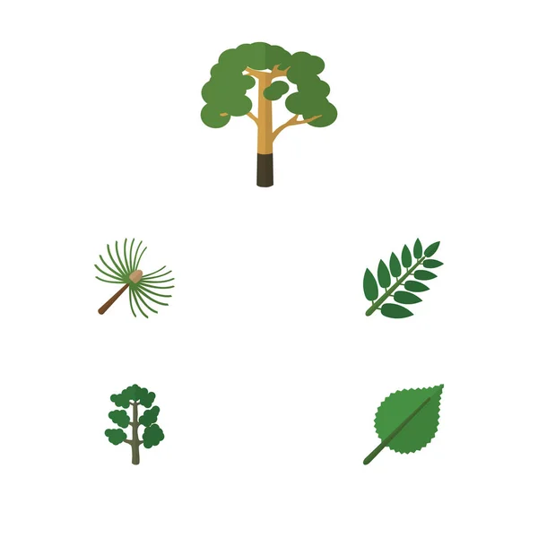 平面图标生物设置的迷迭香、 木材、 林登和其他矢量对象。此外包括树，木材，相思元素. — 图库矢量图片
