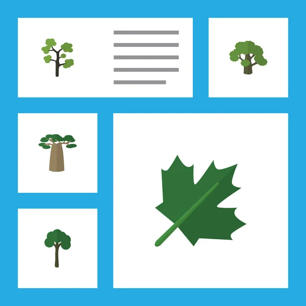 Platte Icon karakter Set van Tuin, boom, Evergreen en andere vectorobjecten. Ook omvat Baobab, hout, eiken elementen. — Stockvector