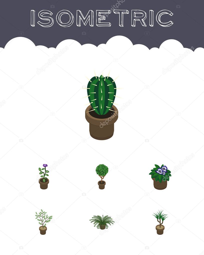 Isometric Houseplant Set Of Flower, Peyote, Tree And Other Vector Objects. Also Includes Pot, Peyote, Fern Elements.