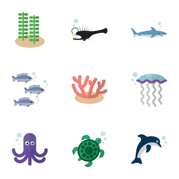 Platt ikonen havet uppsättning haj, tonfisk, lekfull fisk och andra vektorobjekt. Även alger, fisk, tonfisk element. — Stock vektor