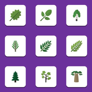 Düz simgesi Bio dizi yaprak, orman, Park ve diğer vektör nesneleri. Ayrıca Baobab, yaprakları, kızılağaç unsurları içerir.