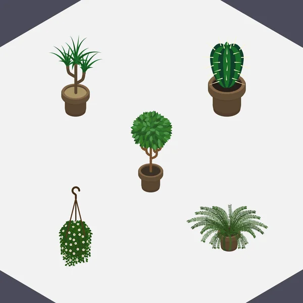 Conjunto de plantas isométricas de plantas, plantas domésticas, flores y otros objetos vectoriales. También incluye maceta, colgante, elementos de flores . — Vector de stock