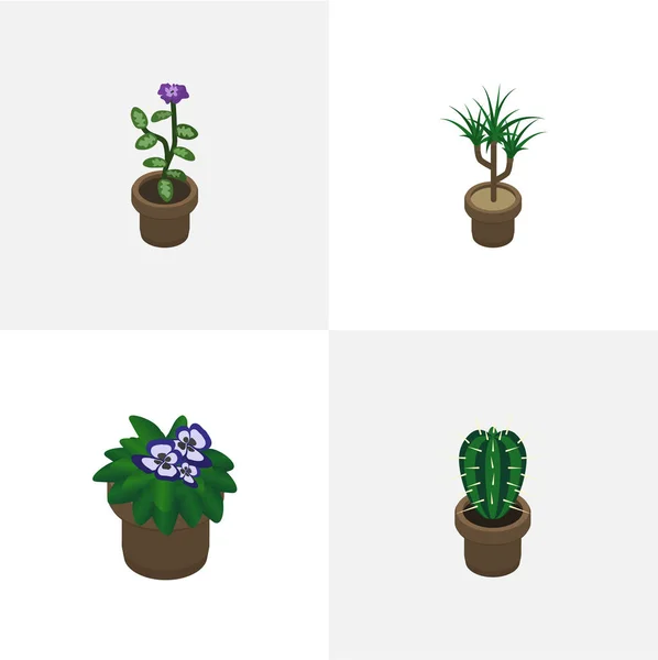 Isometrisk krukväxt uppsättning av Peyote, blomkruka, krukväxt och andra vektorobjekt. Innehåller även Cactus, blomma, Peyote element. — Stock vektor