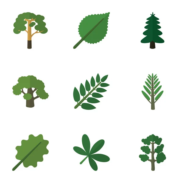 平面图标生物设置的木头、 树、 菩提树和其他矢量对象。此外包括枫树、 柳树、 叶元素. — 图库矢量图片