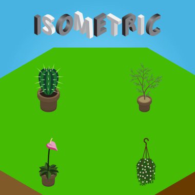 İzometrik bitki Peyote, üretici, Fern ve diğer vektör nesneleri kümesi. Ayrıca asılı, bitki, saksı öğeleri içerir.