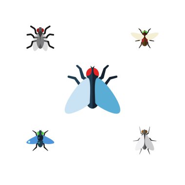 Düz simgesi Buzz kümesi Sivrisinek, Bluebottle, Hum ve diğer vektör nesneleri. Ayrıca Sivrisinek, gübre, Bluebottle öğeleri içerir.