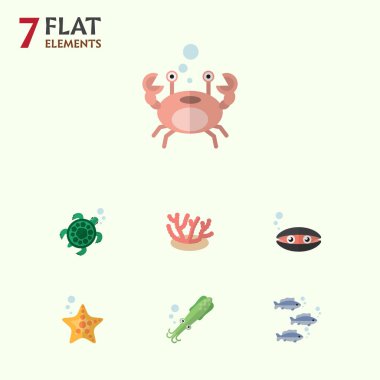 Algler, tarak, kanser ve diğer vektör nesnelerini düz simgesi deniz kümesi. Ayrıca yosun, dokunaç, yıldız öğeleri içerir.