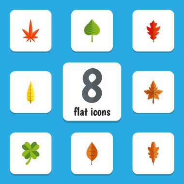 Düz simgesi yaprakları kümesi Linden, yeşillik, pus ve diğer vektör nesneleri. Ayrıca pus, kızılağaç, yaprak öğeleri içerir.