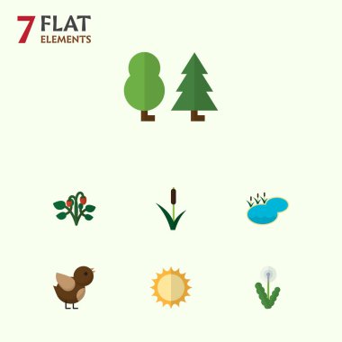 Düz simgesi doğa Berry, orman, göl ve diğer vektör nesnelerini ayarlayın. Ayrıca güneş, kuş, kedi öğeleri içerir.