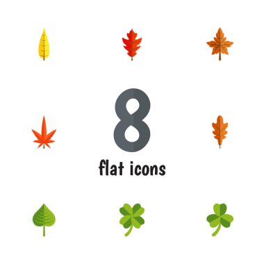 Düz simgesi yaprak kızılağaç, Linden, Hickory ve diğer vektör nesnelerini ayarlayın. Ayrıca meşe, içerir Hickory, pus elemanları.