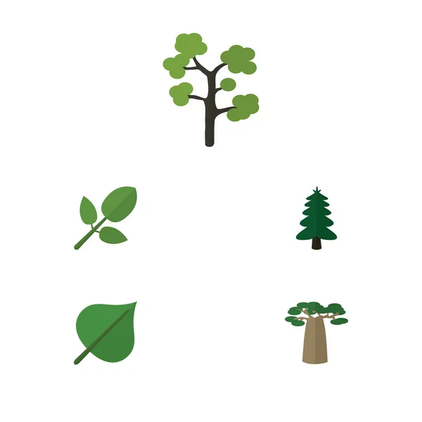 Platte pictogram Bio Set Tuin, Hickory, Baobab en andere vectorobjecten. Ook omvat Hickory, gebladerte, Baobab elementen. — Stockvector