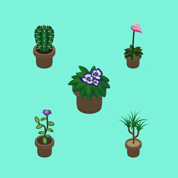 Conjunto de flores isométricas de maceta, flores, plantas domésticas y otros objetos vectoriales. También incluye flor, maceta, elementos botánicos . — Vector de stock