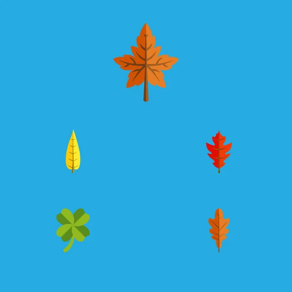 Flat Icon Foliage Set Of Maple, Leafage, Alder And Other Vector Objects. Also Includes Leaf, Frond, Alder Elements. — Stock Vector