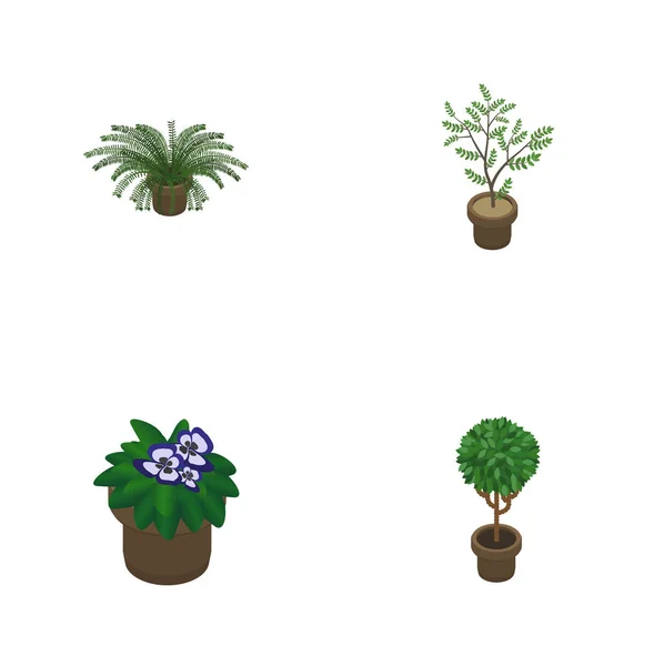Conjunto de flores isométricas de plantas, árboles, helechos y otros objetos vectoriales. También incluye planta de hogar, maceta, elementos de helecho . — Vector de stock