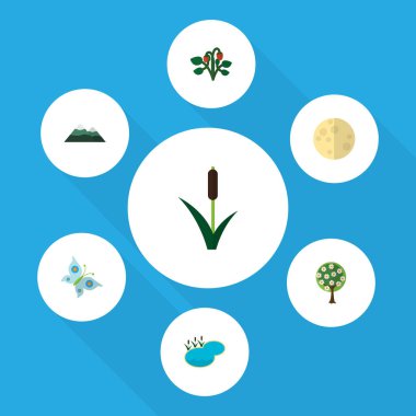 Düz simgesi Bio kümesi Berry, ağaç, ay ve diğer vektör nesneleri. Ayrıca kuyrugu, çim, Reed unsurları içerir.